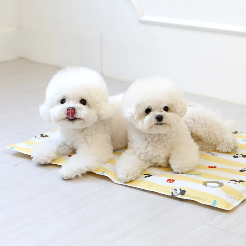 ITSDOG 迪士尼涼感凝膠墊