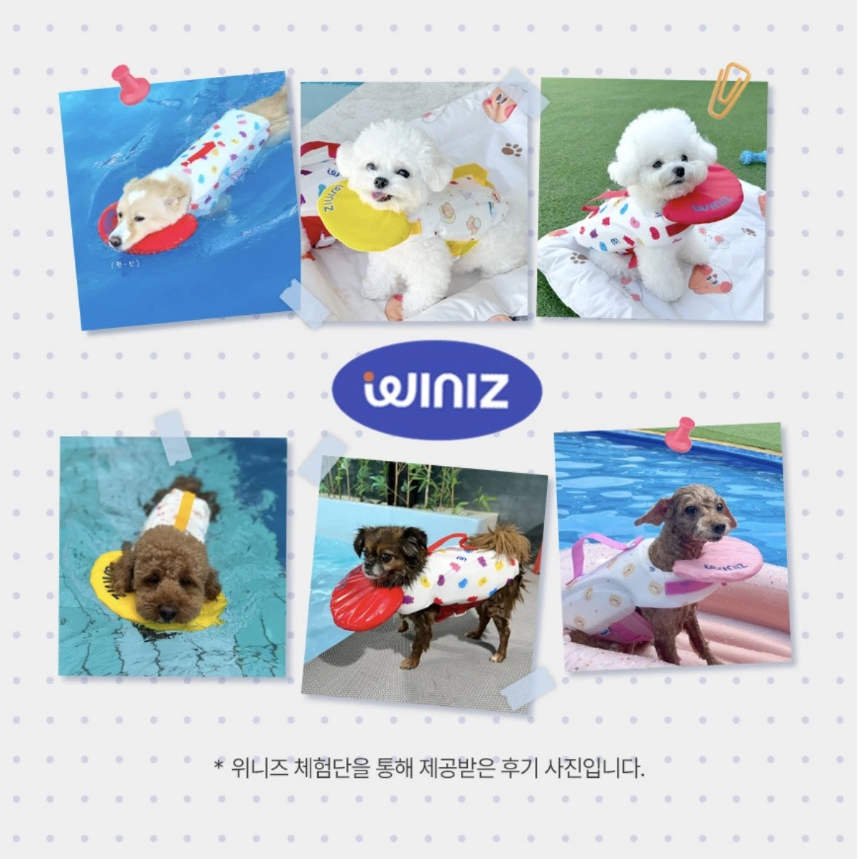 WINIZ 寵物救生衣 浮力背心