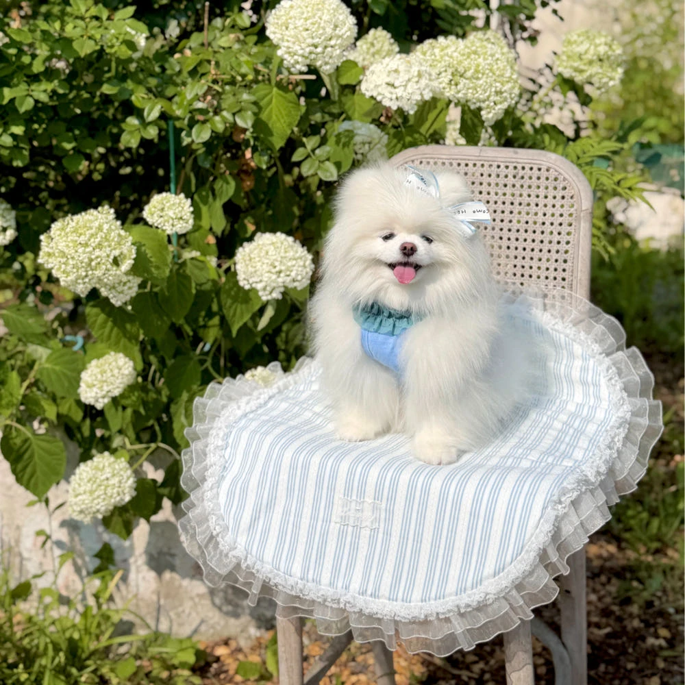Dear puppy DURARON 涼感雙面毯墊 Belle Lace