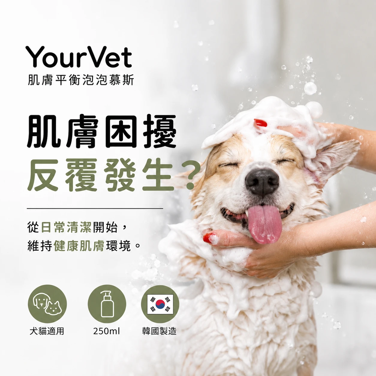 YourVet 肌膚平衡泡泡慕斯 250ml 犬貓適用 現貨