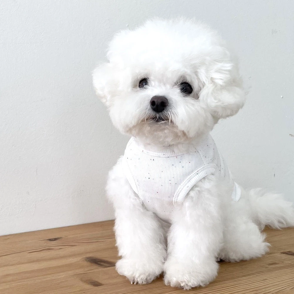 avec chiot 彩色點點無袖背心 現+預