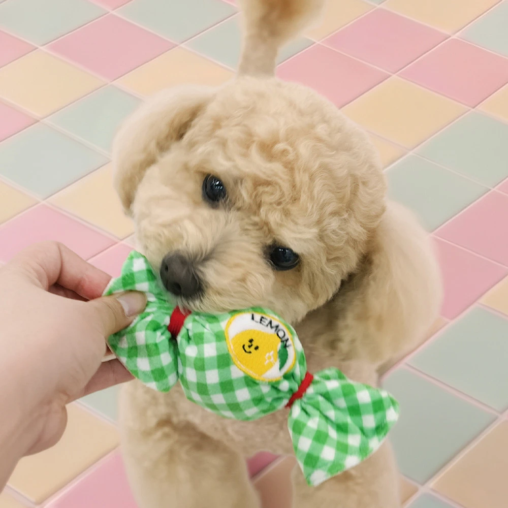 PARISDOG 水果軟糖互動啾啾發聲玩具 現貨