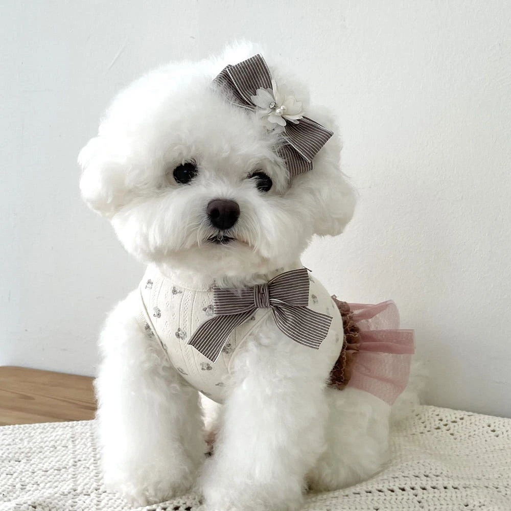 avec chiot 摩卡玫瑰洋裝 預購