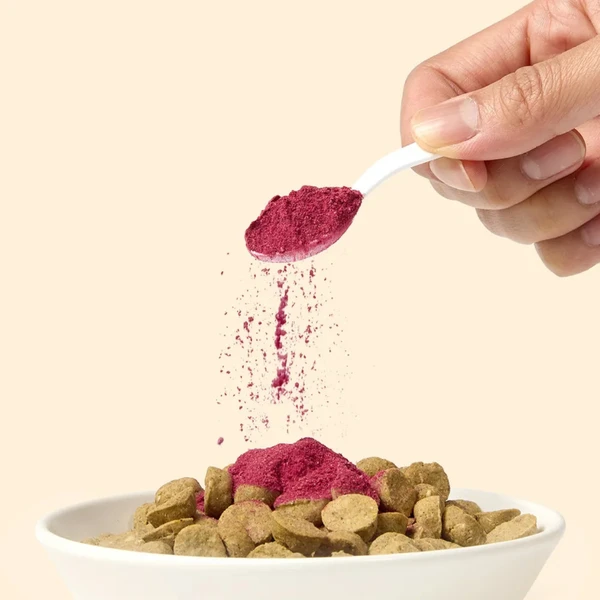 Fruit Powder 水果泥粉 65g 現貨