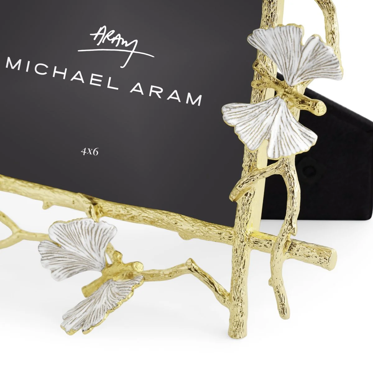 Butterfly Ginkgo Gold Frame(4x6) - Micheal Aram