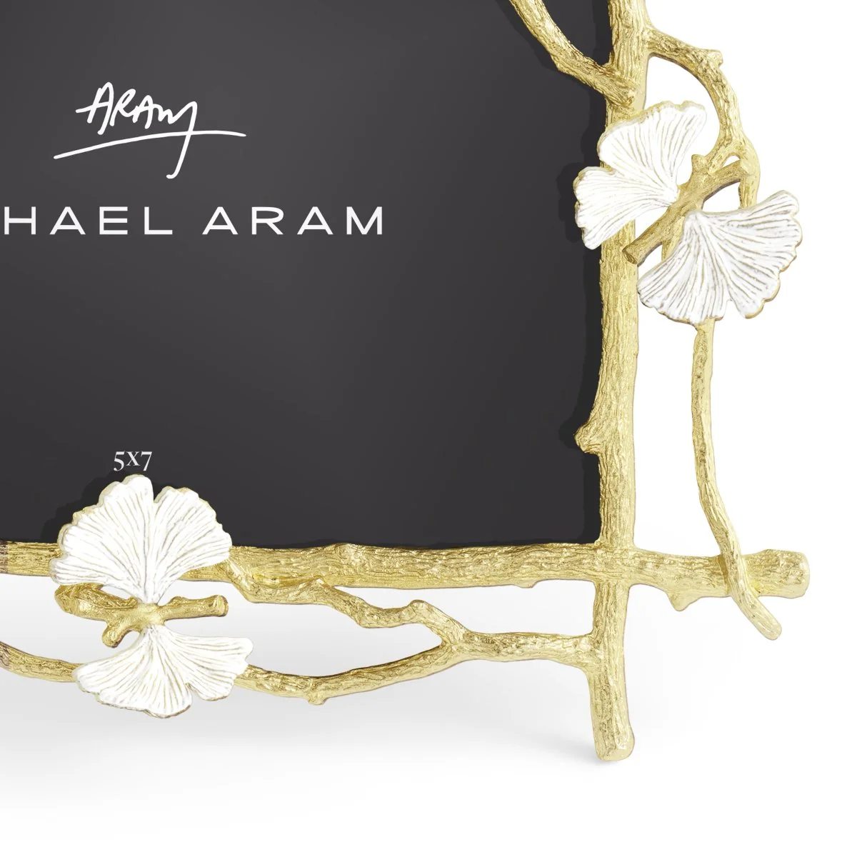 Butterfly Ginkgo Gold Frame(5x7) - Micheal Aram