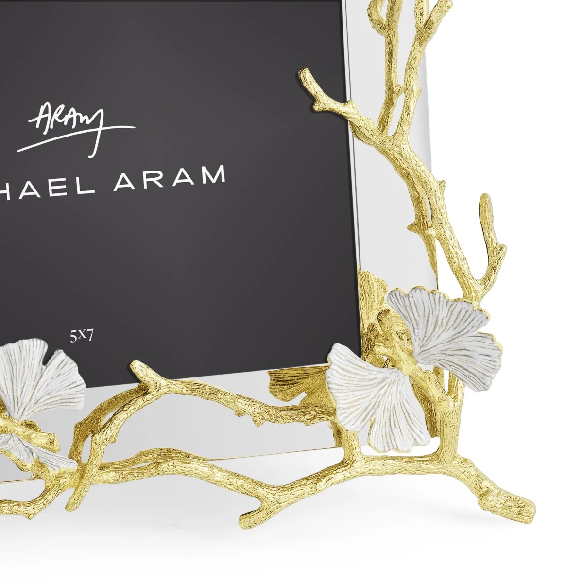 Butterfly Ginkgo Gold Reflective Frame(5x7) - Micheal Aram