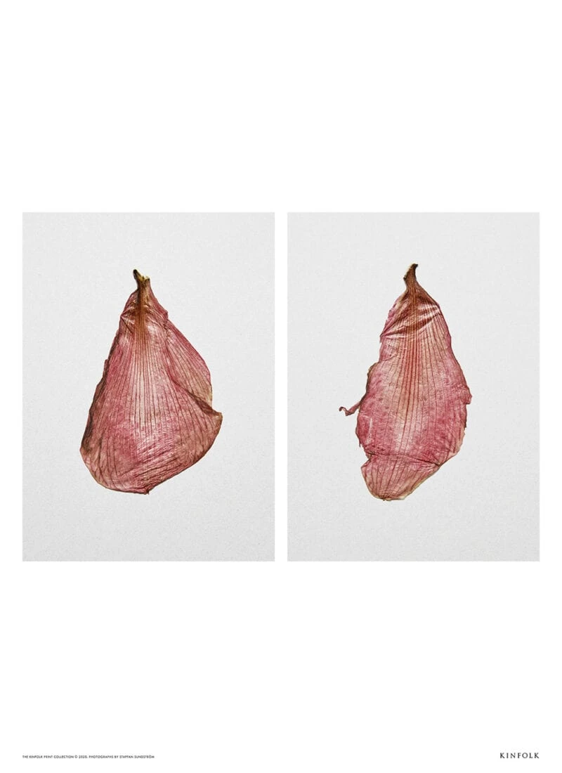 The Petal - The Poster Club 丹麥藝術海報(團購)