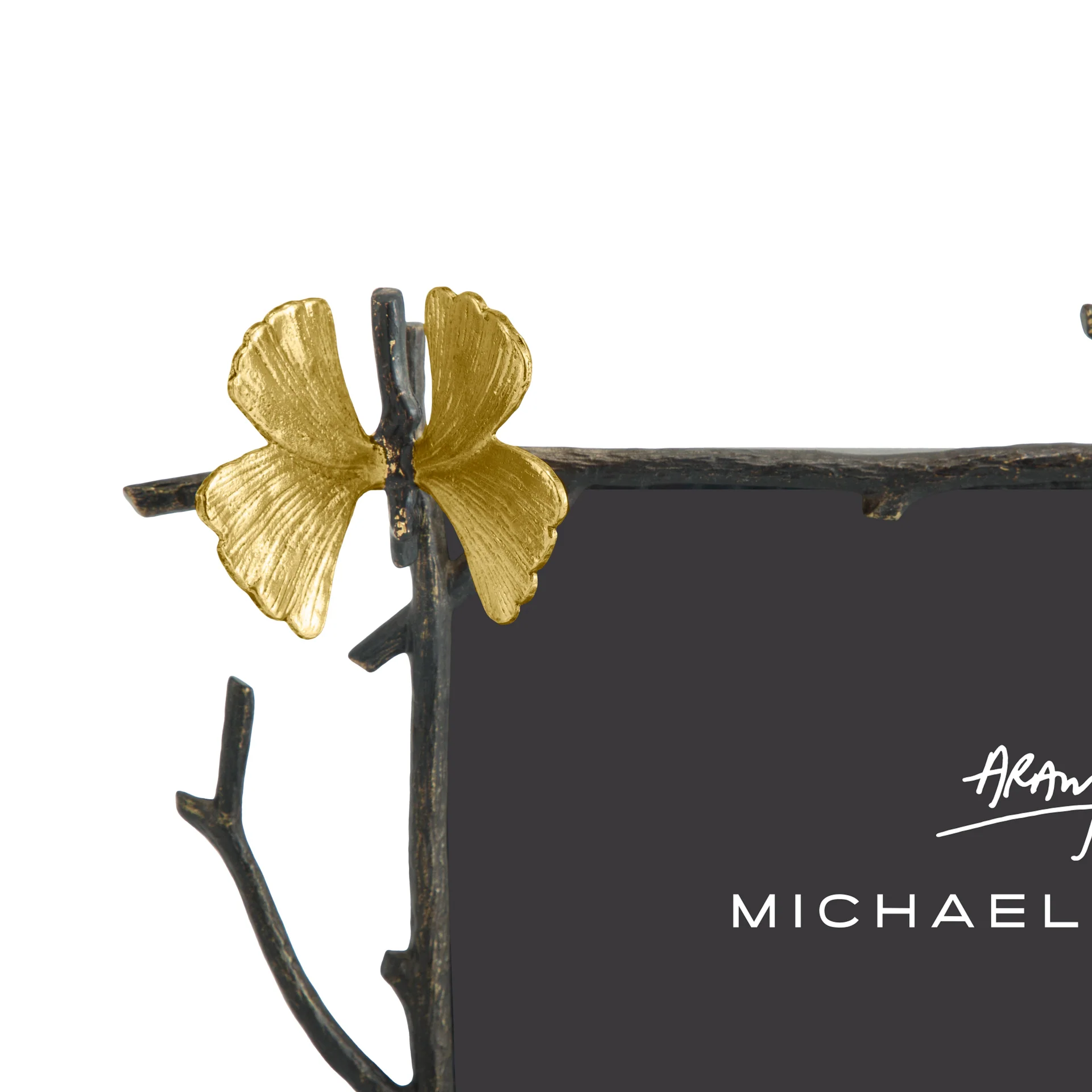 Butterfly Ginkgo Frame(5X7) - Micheal Aram