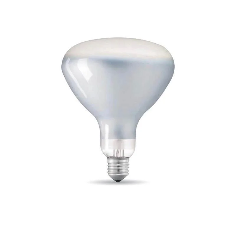 LED bulb E27 110V R125 8W Dimmable - Flos 義大利燈泡