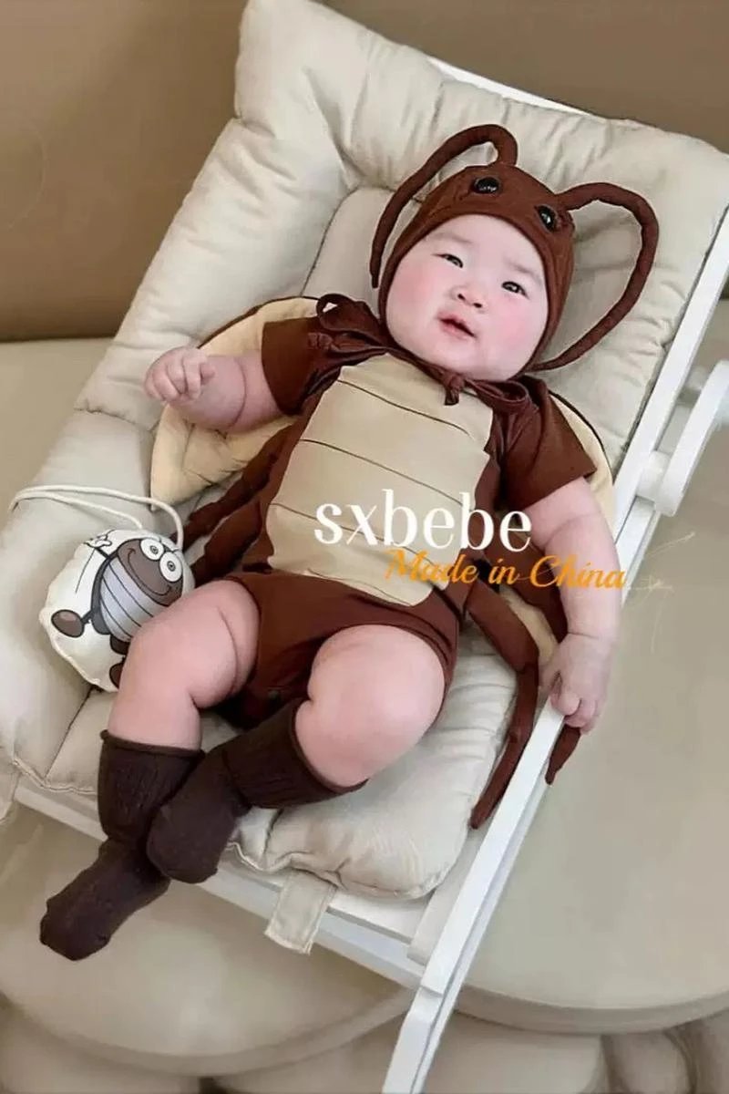 蟑螂寶寶