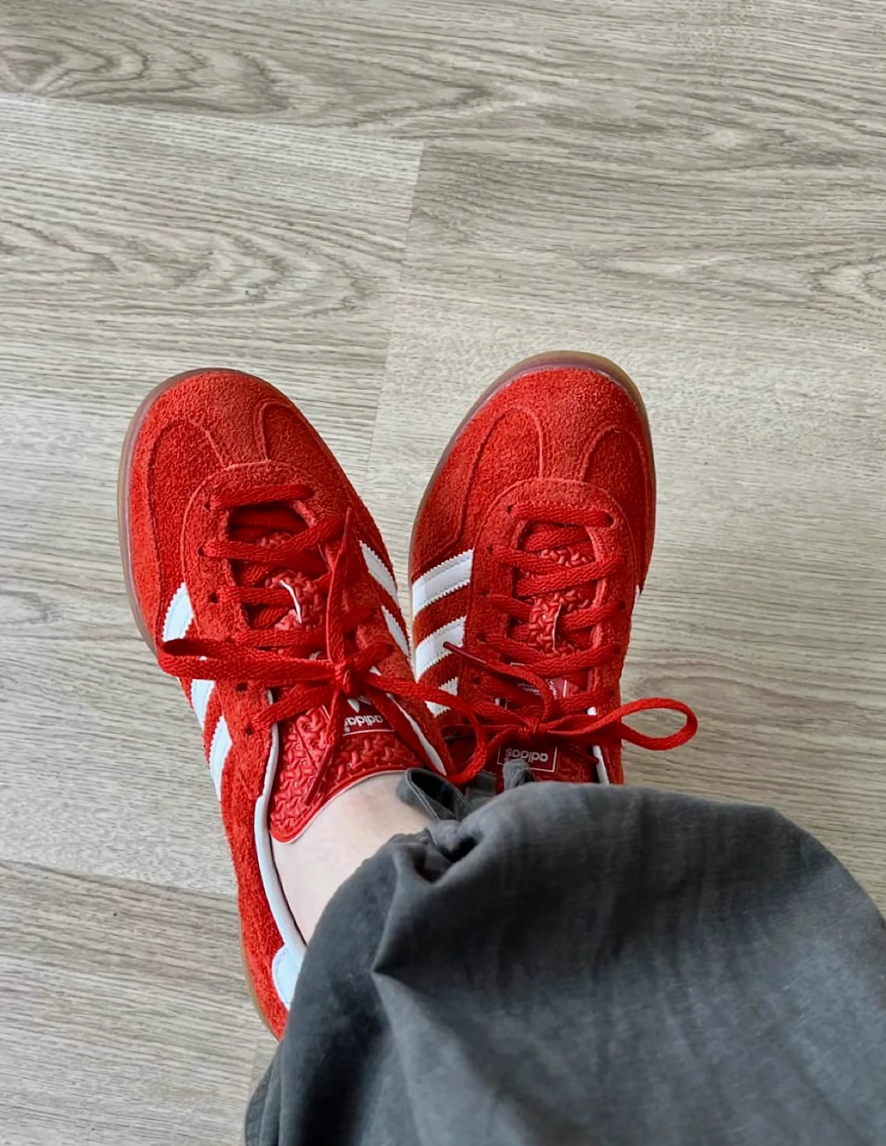 <稀有補貨> Adidas Originals Gazelle Indoor 正紅色焦糖底（JI2063）