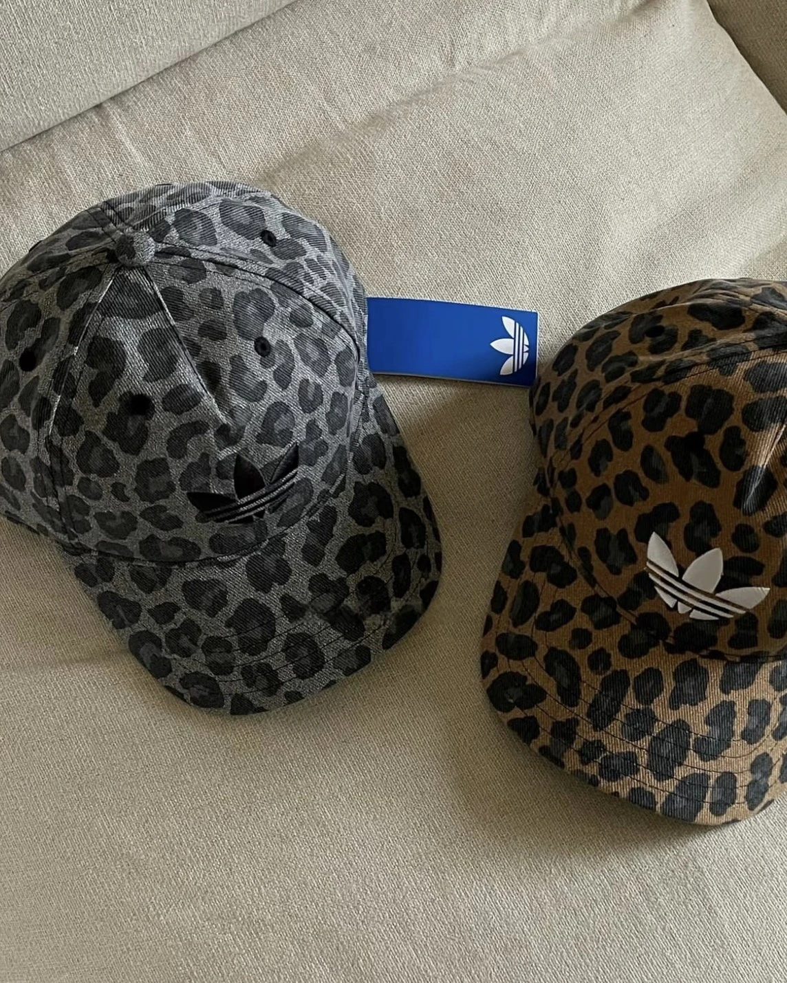 <豹豹週>Adidas 愛迪達 豹紋系列 棕色 灰色 老帽(JW8034)