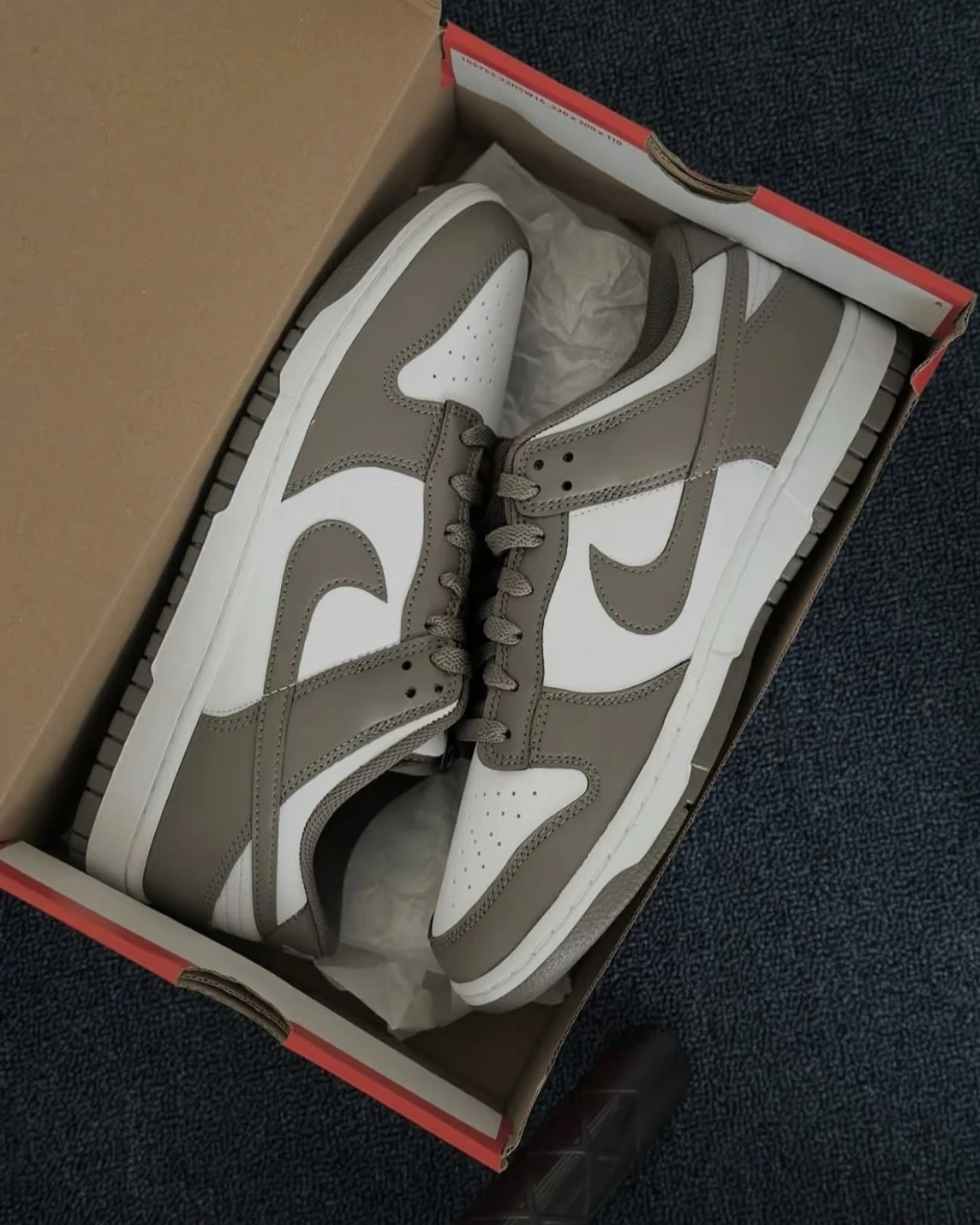 <男孩必收!>NIKE DUNK LOW 灰棕 質感棕(HF5441-111)