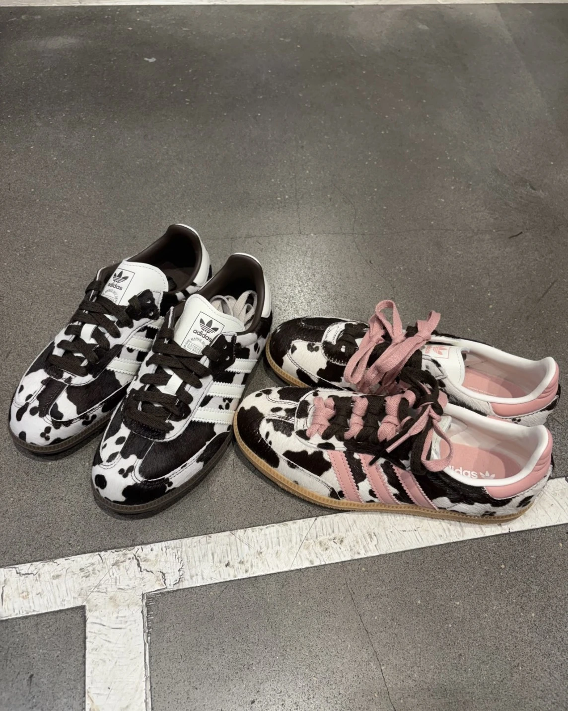 ADIDAS SAMBA OG 乳牛 奶牛紋路 草莓牛奶 粉棕(KK2239)