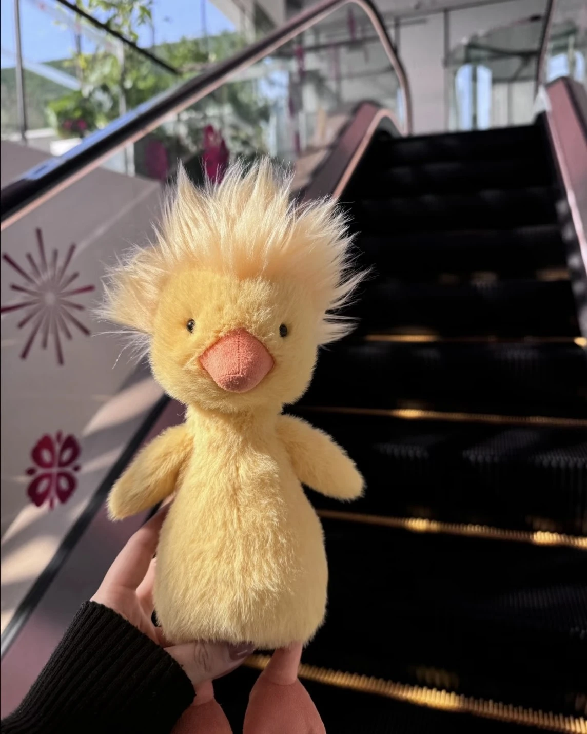 JELLYCAT 多瑞特小鴨 炸毛小鴨 爆炸頭 26cm