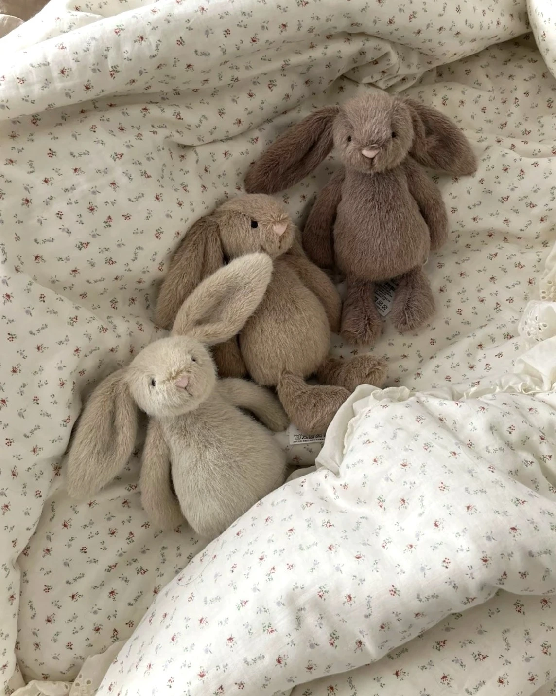 JellyCat Flufflet Bunny 療癒系 芙絨兔兔(3色可選)