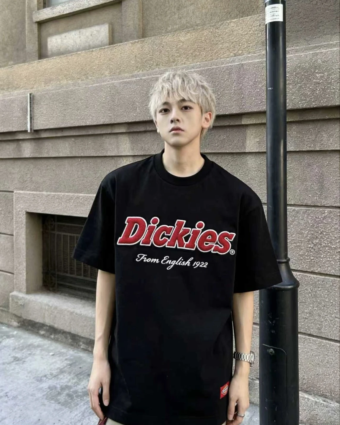 Dickies 美式  字母刺繡logo 短袖(2色可選)