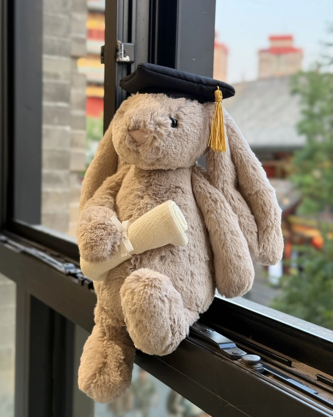 <🎓我畢業了!>JELLYCAT 邦尼兔 畢業兔 毛絨玩偶 31cm