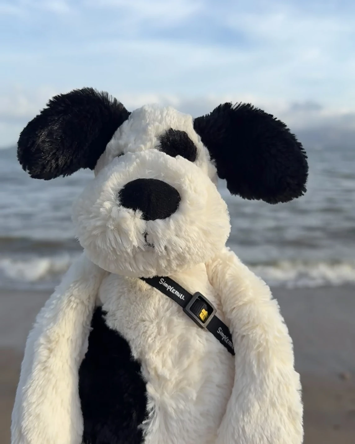 JELLYCAT 害羞系列 黑白小狗 毛絨公仔 31CM