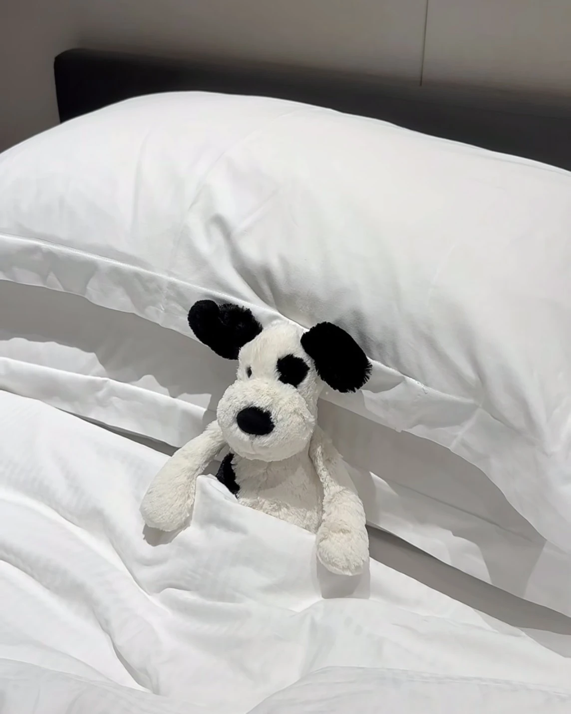 JELLYCAT 害羞系列 黑白小狗 毛絨公仔 31CM