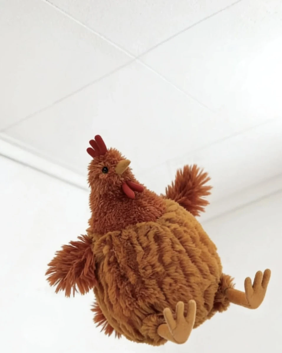 JELLYCAT 公雞 玩偶 毛絨公仔 22CM