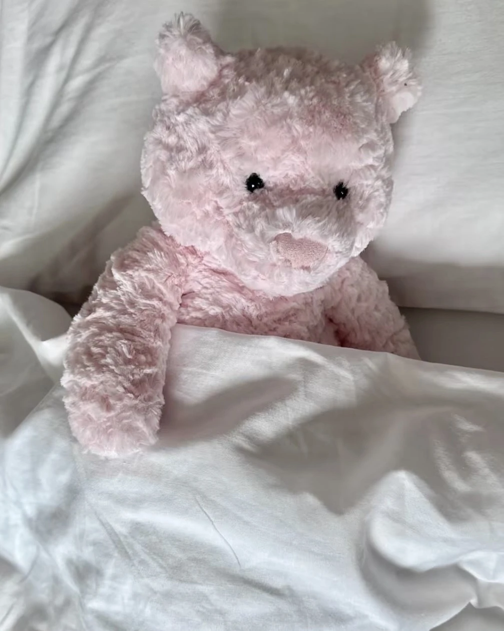 JELLYCAT 粉嫩嫩 萊奧拉熊 Leola Bear 毛絨公仔 22CM