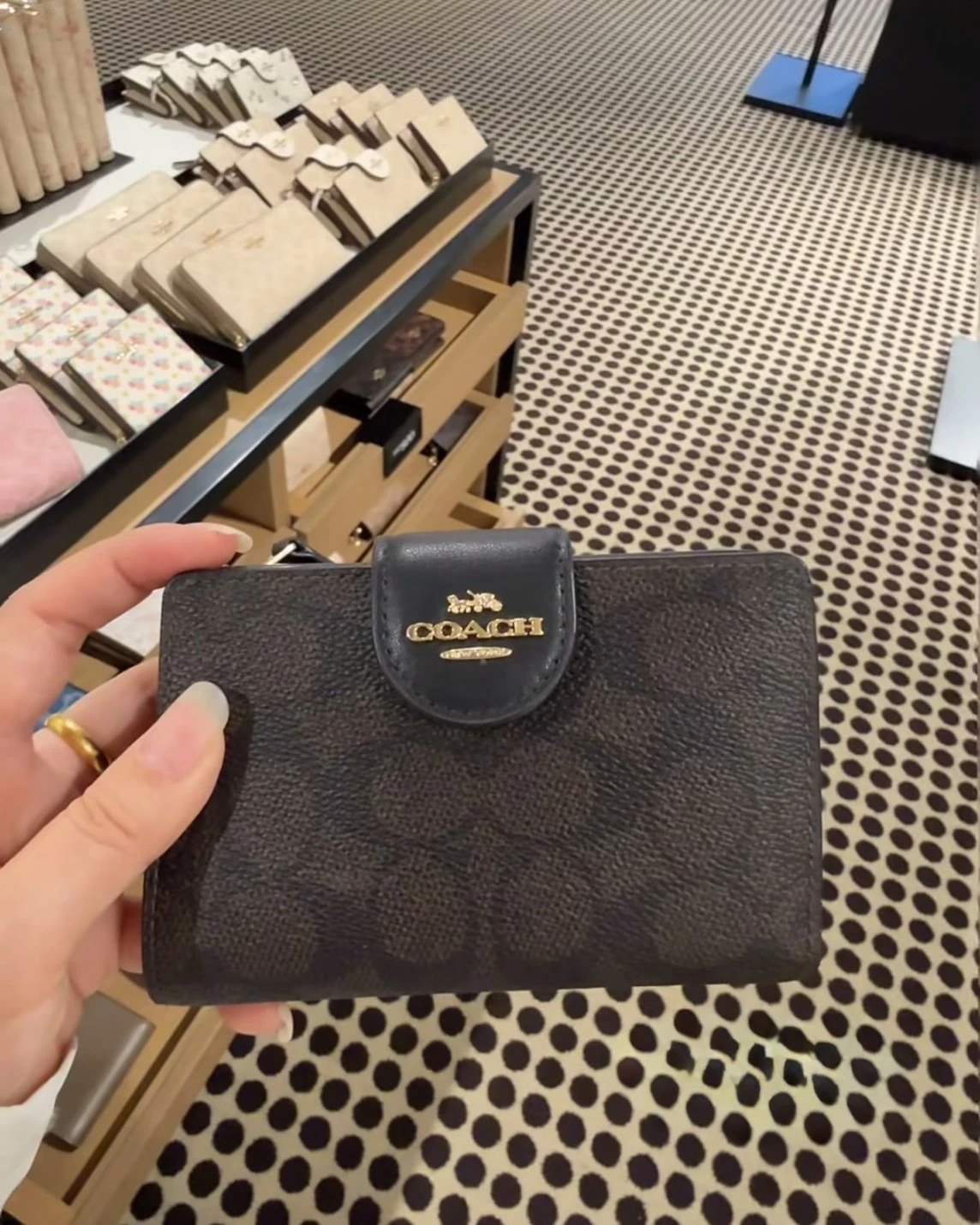COACH Signature Canvas 13 多功能卡夾錢包 (四色可選)