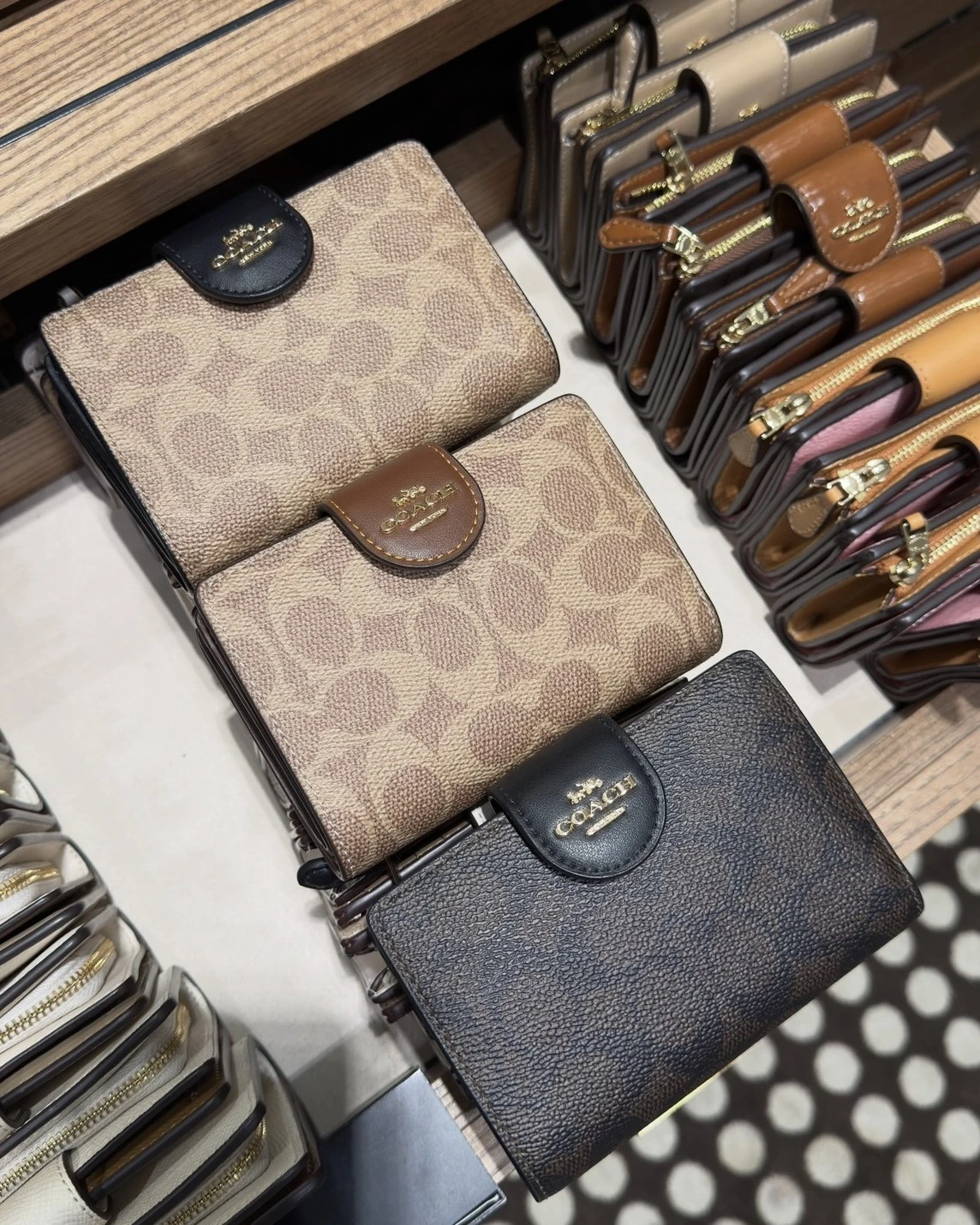 COACH Signature Canvas 13 多功能卡夾錢包 (四色可選)