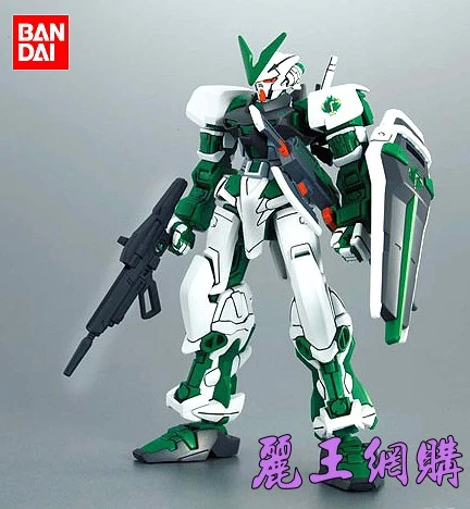 HG 1/144 鋼彈SEED DESTINY 55 異端鋼彈 綠色機