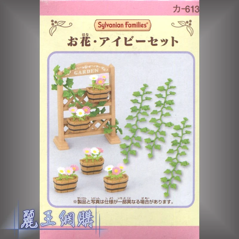 森林家族 常春藤花籃組