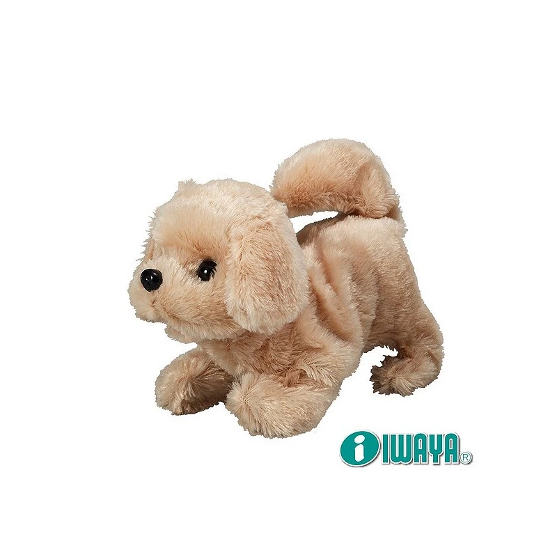 IWAYA 甜甜屋 黃金獵犬