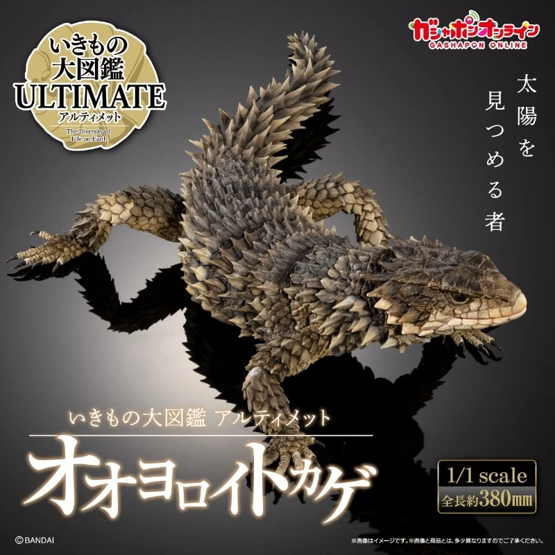 盒玩 生物大圖鑑 巨型環尾蜥