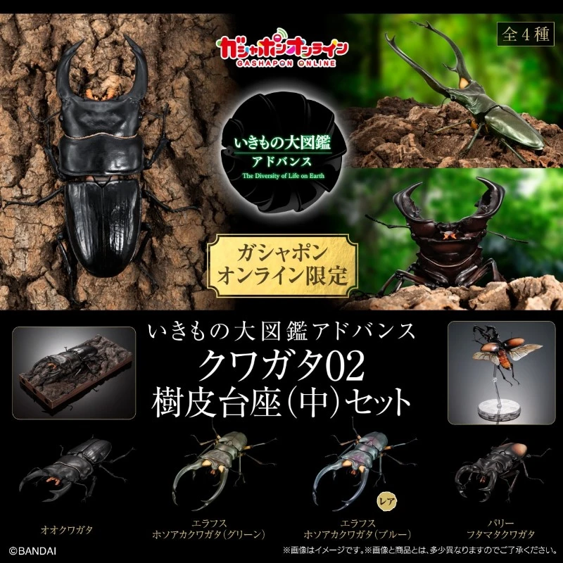 盒玩 生物大圖鑑 鍬形蟲 02 樹皮底座 四款一套