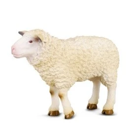 CollectA 動物模型 綿羊