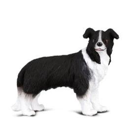 CollectA 動物模型 邊境牧羊犬