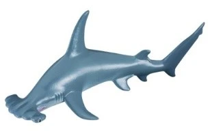 CollectA 動物模型 鎚頭鯊