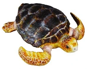 CollectA 動物模型 赤觿龜