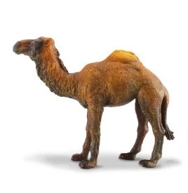 CollectA 動物模型 駱駝