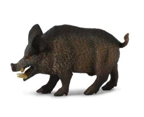 CollectA 動物模型 公山豬