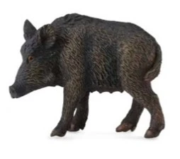 CollectA 動物模型 母野豬