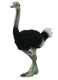 CollectA 動物模型 鴕鳥