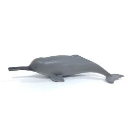 CollectA 動物模型 恒河豚
