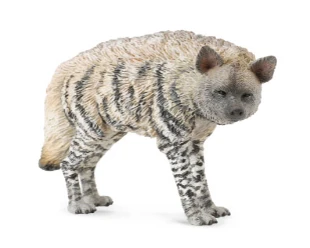 CollectA 動物模型 條紋鬣狗