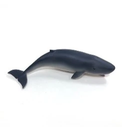 CollectA 動物模型 小抹香鯨