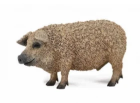 CollectA 動物模型 匈牙利豬