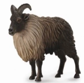 CollectA 動物模型 喜馬拉雅塔爾羊