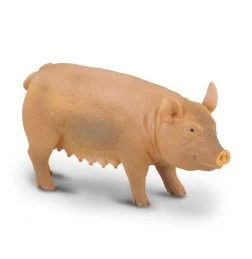 CollectA 動物模型 母豬