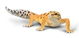 CollectA 動物模型 斑紋壁虎