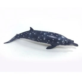 CollectA 動物模型 布氏中喙鯨